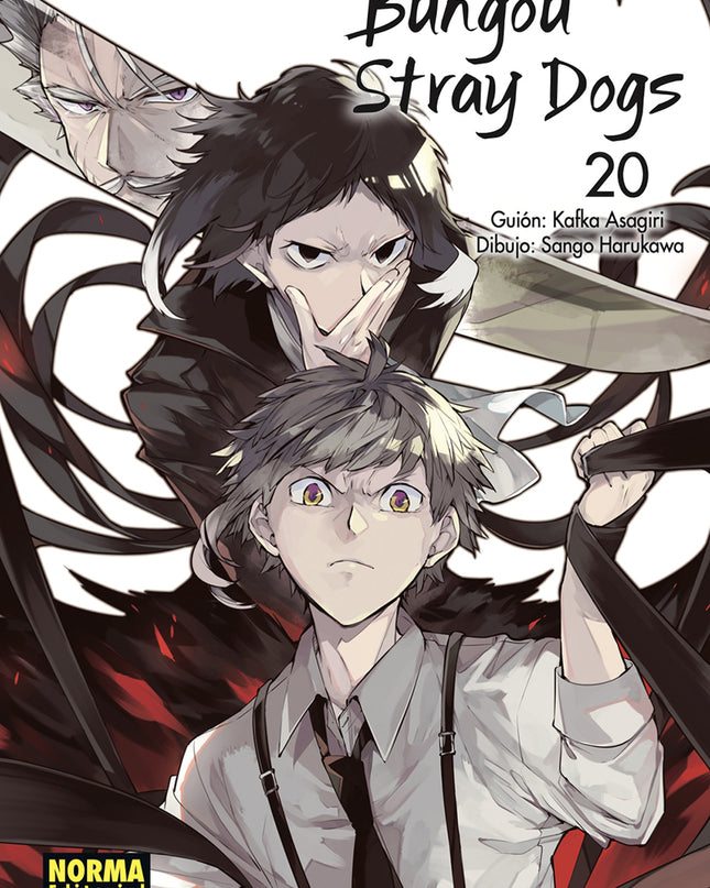 Bungou Stray Dogs 20