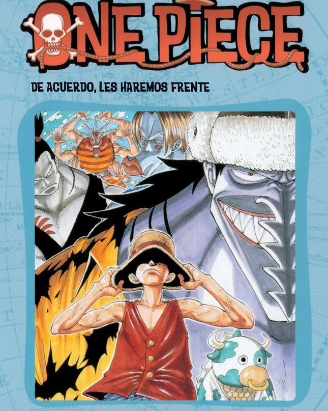 One Piece Nº10