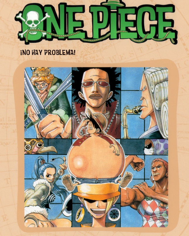 One Piece Nº13