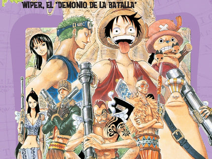 One Piece Nº28