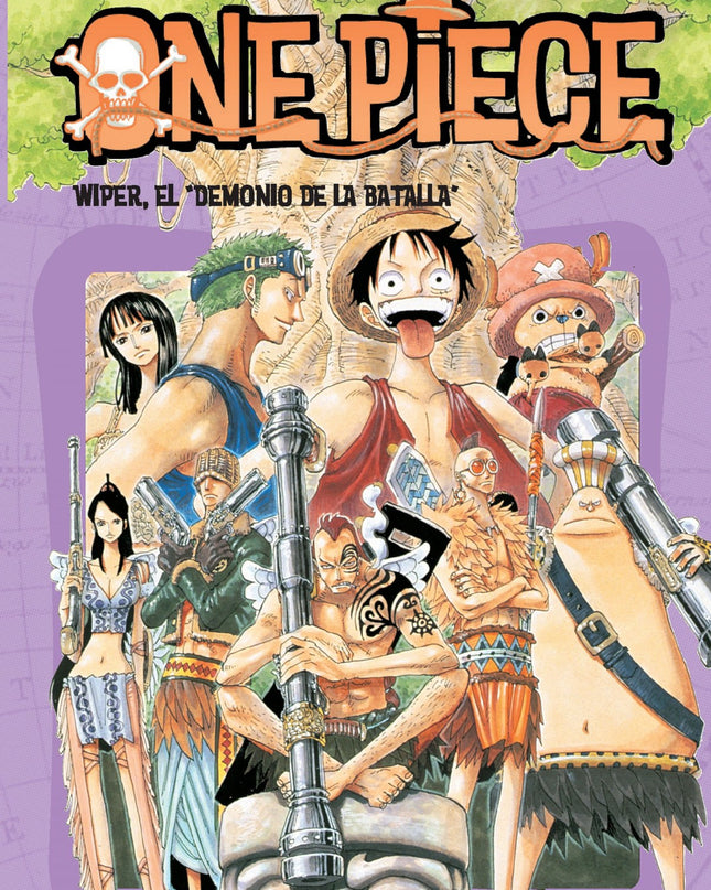 One Piece Nº28