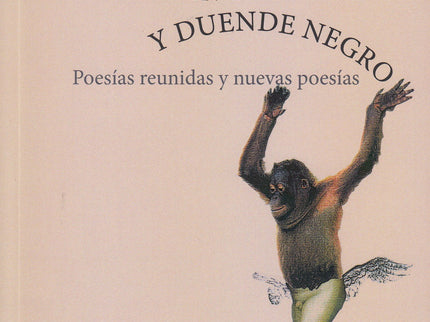 Espejo Cóncavo Y Duende Negro