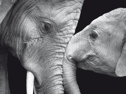 Mentes Maravillosas
