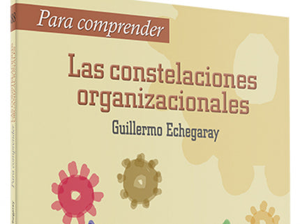 Para Comprender Las Constelaciones Organizacionales