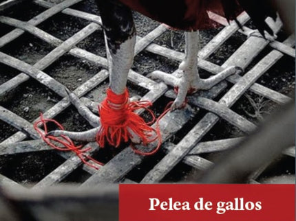 Pelea De Gallos