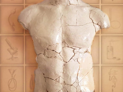 El Cuerpo Roto