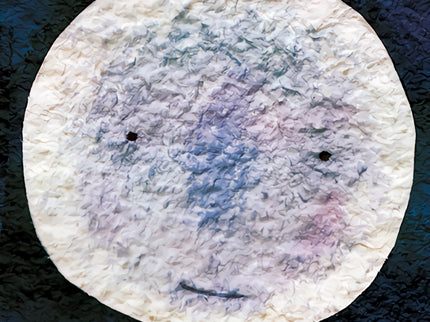 A Taste Of The Moon