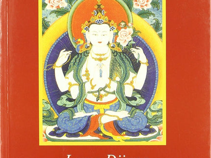 Introducción Práctica Al Buddhismo