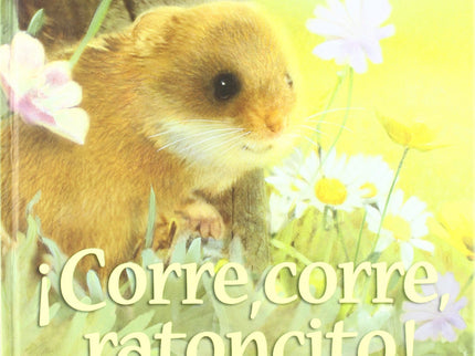 ¡corre Corre Ratoncito!