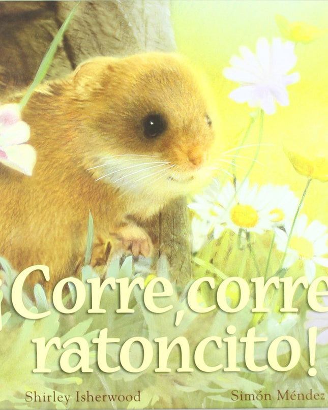 ¡corre Corre Ratoncito!