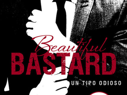 Beautiful Bastard. Un Tipo Odioso