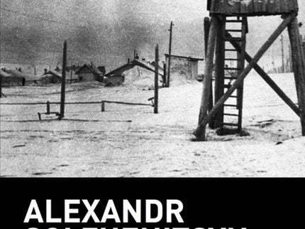Un Día En La Vida De Ivan Denisovich