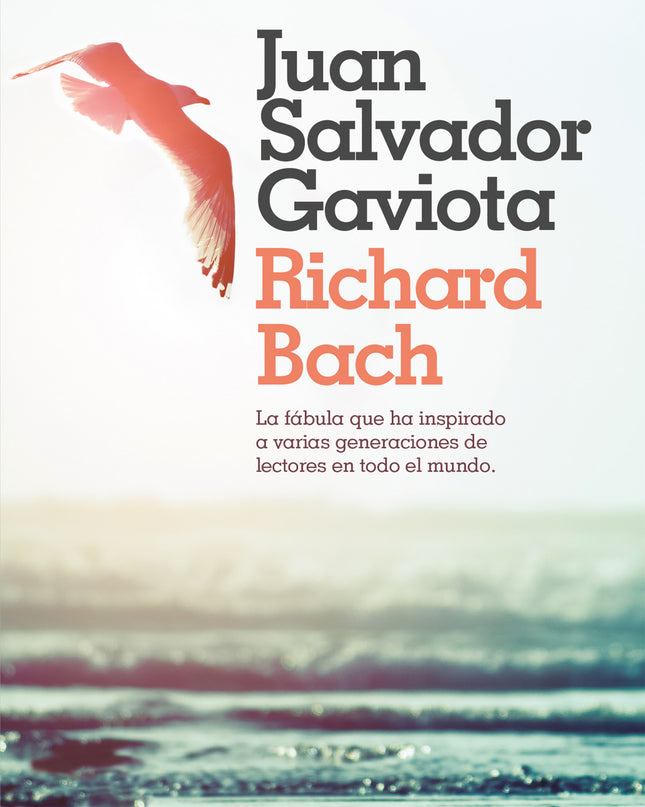 Juan Salvador Gaviota