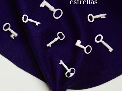 El Vagabundo De Las Estrellas