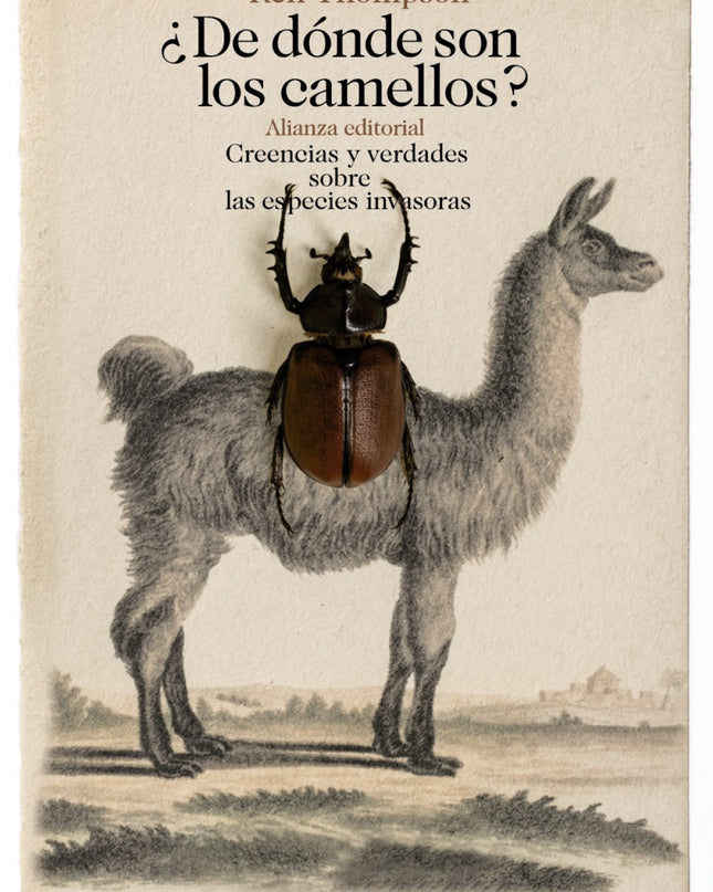 ¿de Dónde Son Los Camellos?
