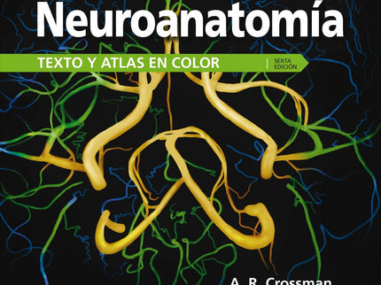 Neuroanatomía