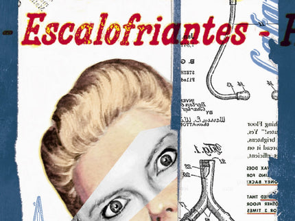 Relatos Escalofriantes De Roald Dahl