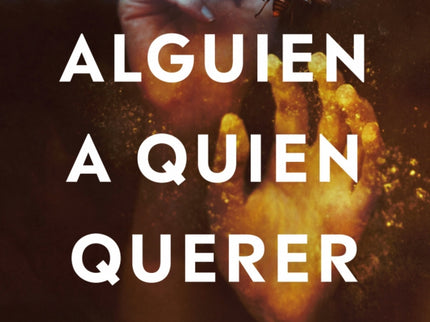 Alguien A Quien Querer