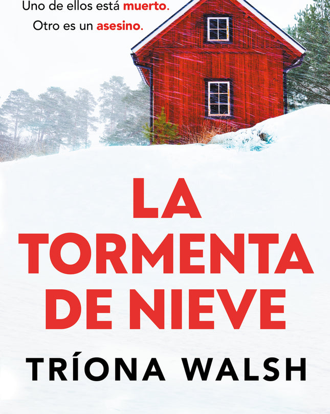 Tormenta De Nieve