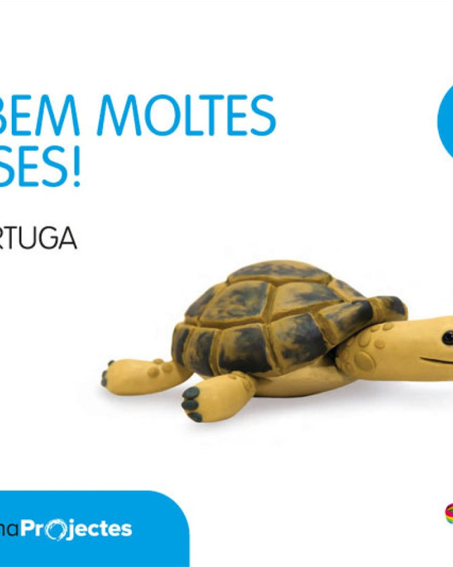 Nivell 1 La Tortuga