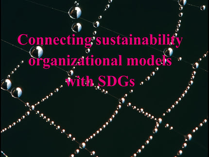 Connecting Sustainability Organizational Models With Sdgs