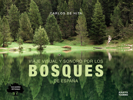 Viaje Visual Y Sonoro Por Los Bosques De España