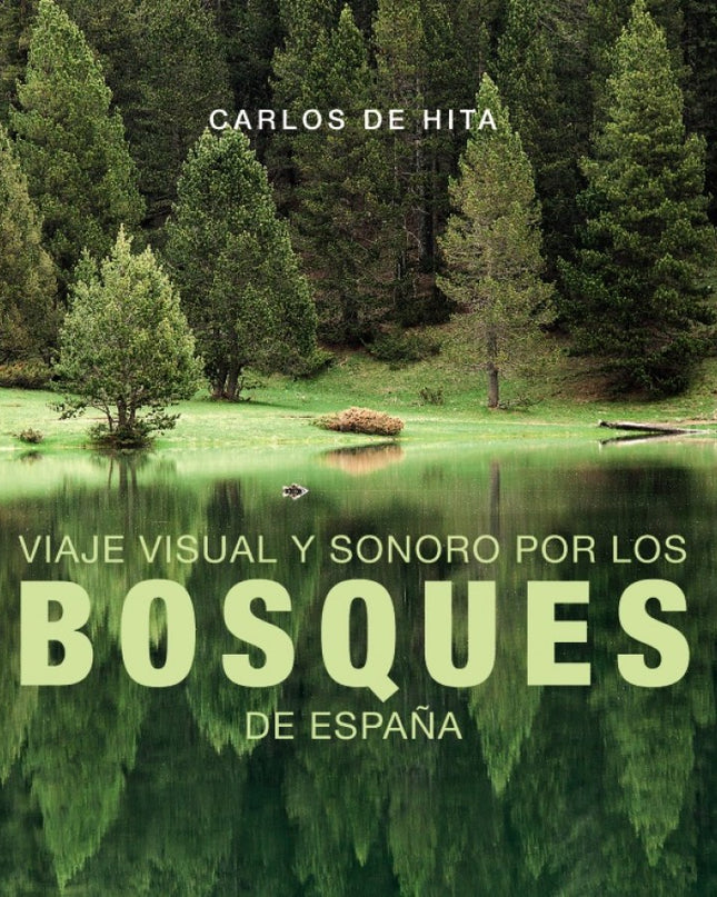 Viaje Visual Y Sonoro Por Los Bosques De España