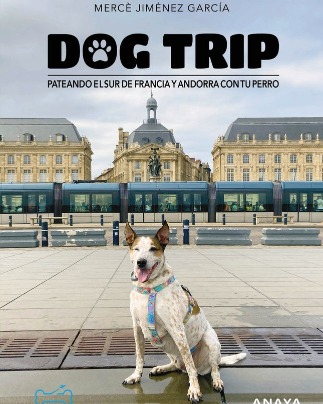 Dog Trip. Pateando El Sur De Francia Y Andorra Con Tu Perro