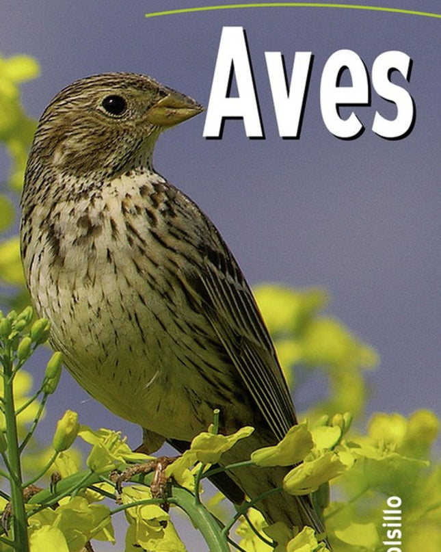 Observar Las Aves