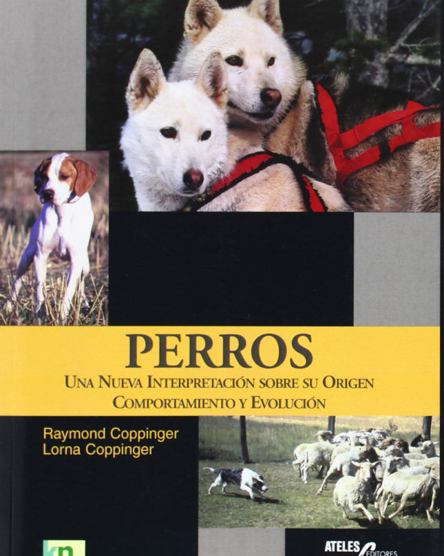 Perros