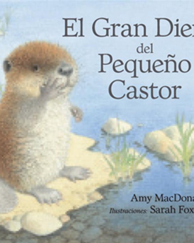 El Gran Diente Del Pequeño Castor