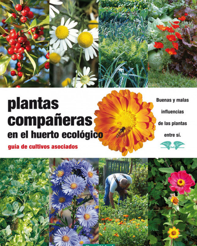 Plantas Compañeras Del Huerto