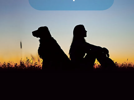 La Comunicación Silenciosa De Los Perros
