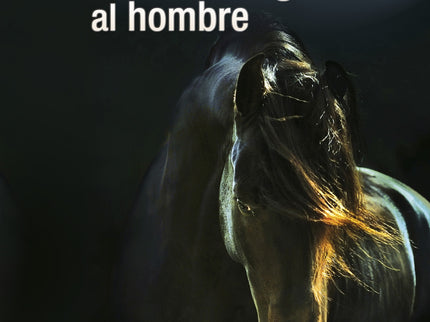 Cuando El Caballo Guia Al Hombre