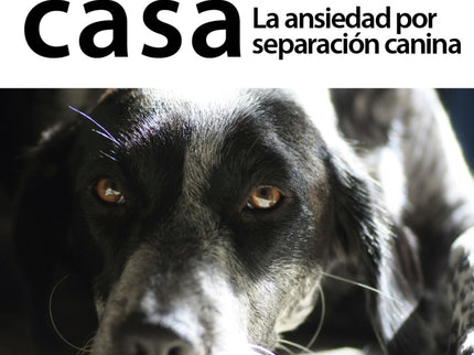 Solo En Casa