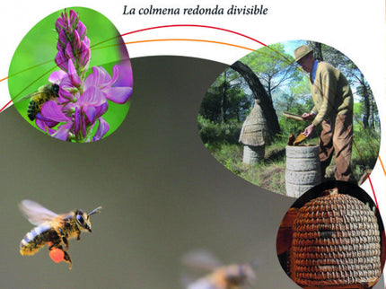 Apicultura Respetuosa Con Las Abejas