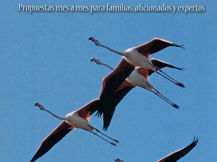 Cuando Y Donde Ver Aves En Cataluña