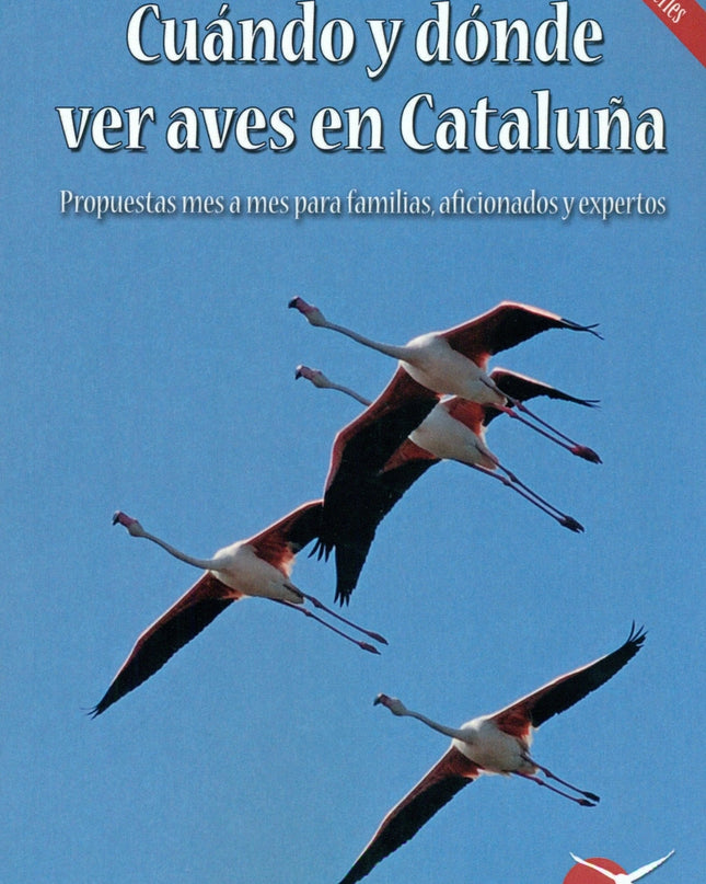 Cuando Y Donde Ver Aves En Cataluña
