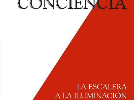 Trascender Los Niveles De Conciencia