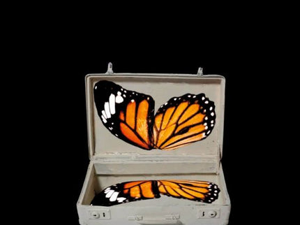 El Filo De Las Mariposas