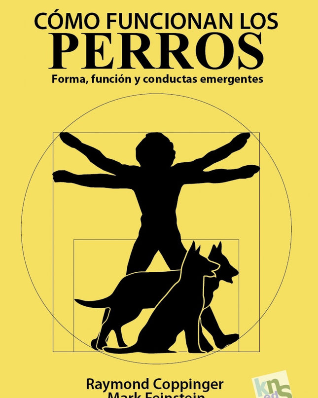 Cómo Funcionan Los Perros