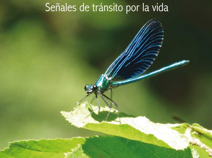 Autobiosofía