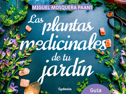 Las Plantas Medicinales De Tu Jardín