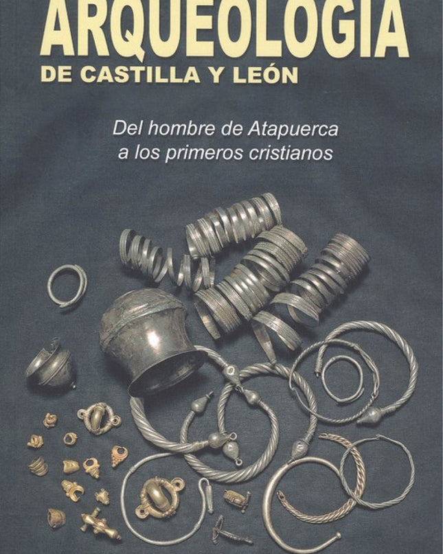 Arqueología De Castilla Y León