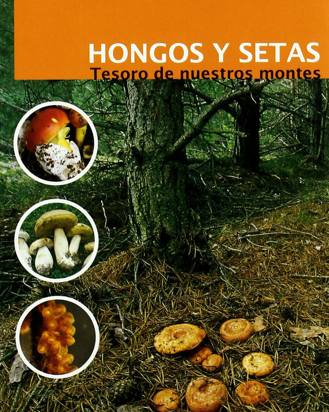Hongos Y Setas: Tesoro De Nuestros Montes
