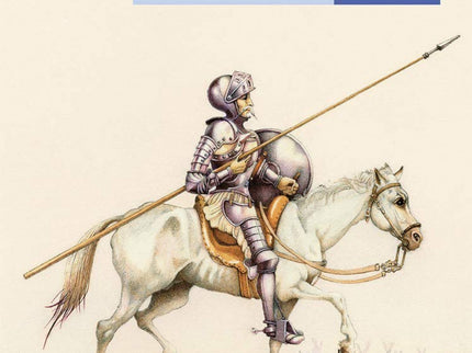 Don Quijote De La Mancha (calcetín)