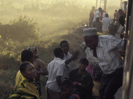 Vagabundo En áfrica
