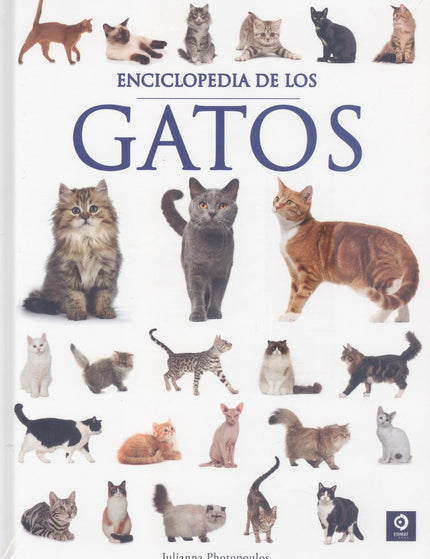 Collection image for: Enciclopedias generales