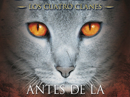 Antes De La Tormenta