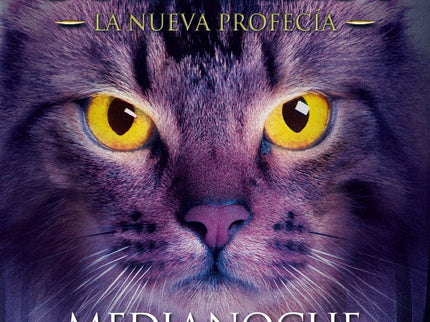 Medianoche